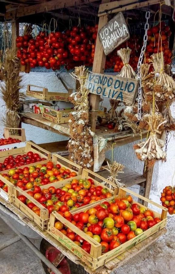 B&B La Strea Porto Cesareo Eksteriør bilde