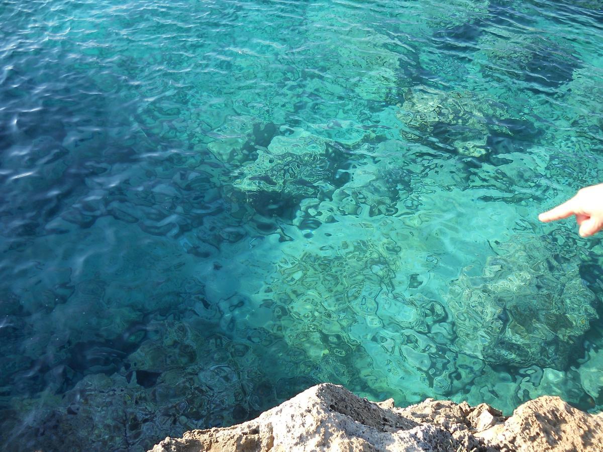B&B La Strea Porto Cesareo Eksteriør bilde